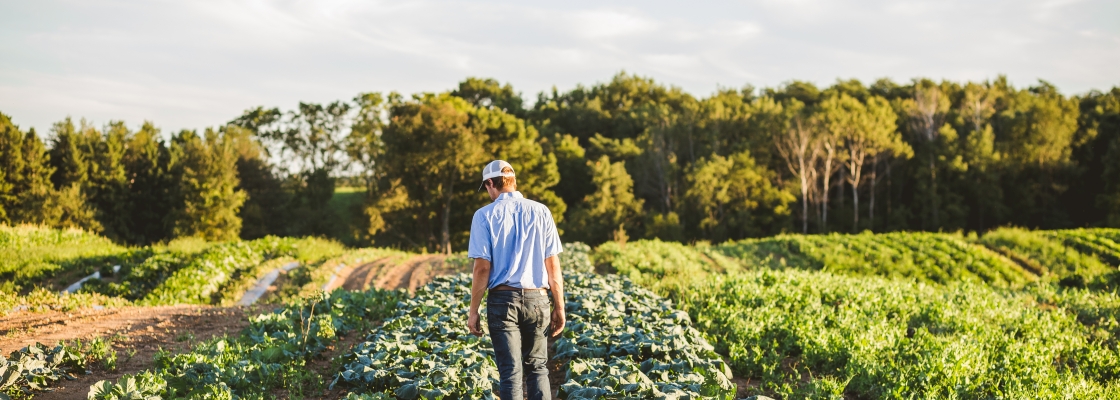 Farmer